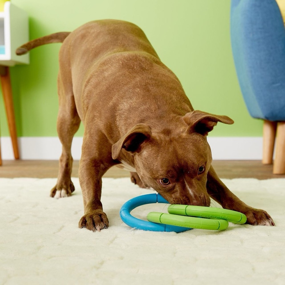JW Pets Invincible Chain, Large